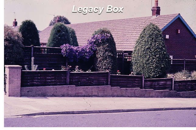 Legacy box's scan of the house with fences